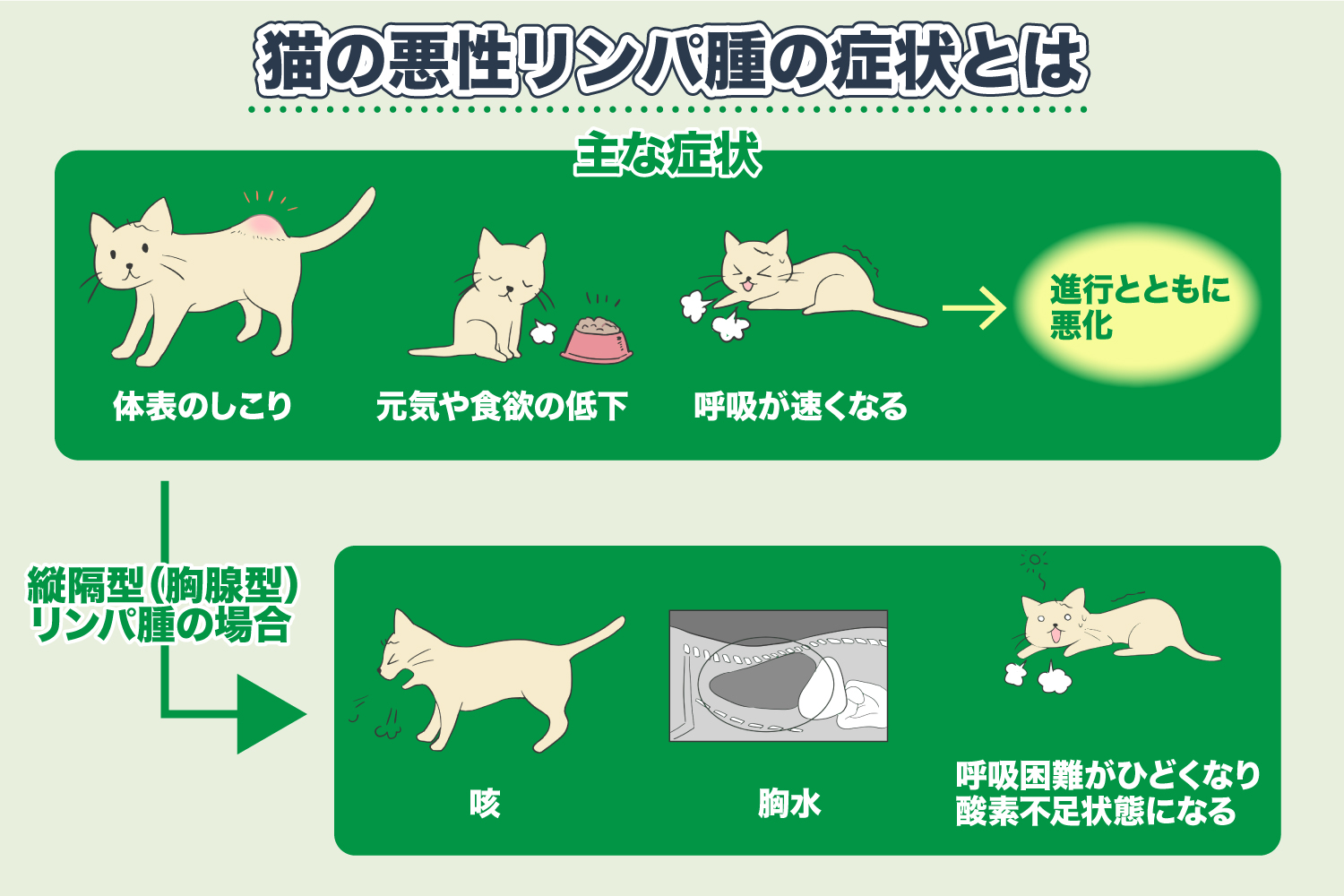 猫的淋巴瘤的症状