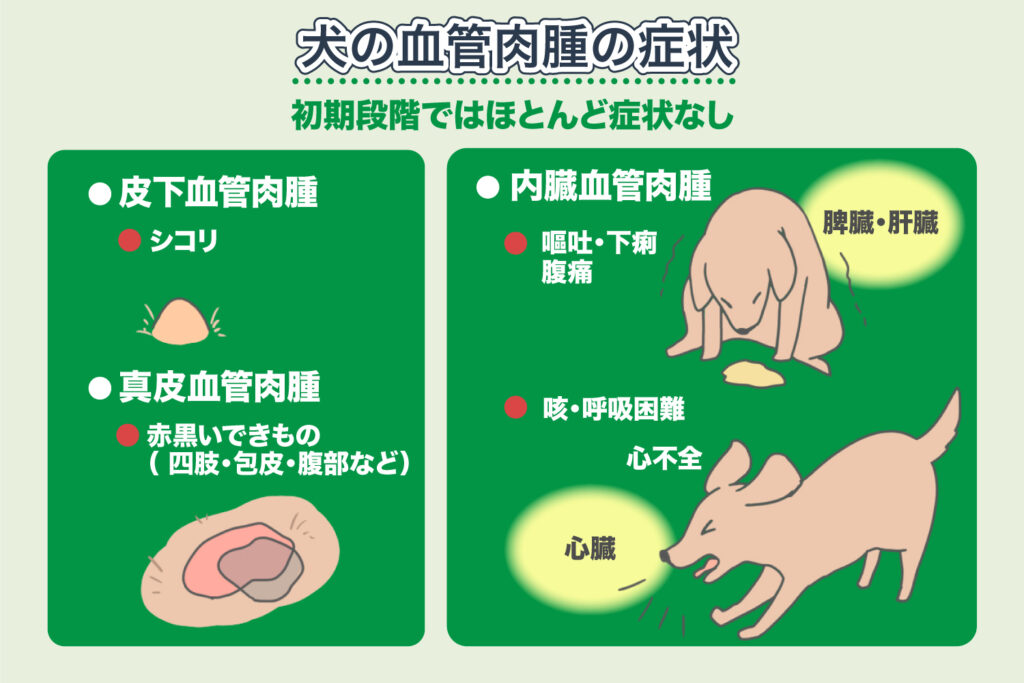 犬的血管肉瘤症状