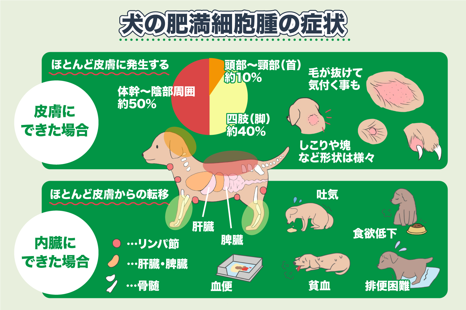 代表性的猫黑色素瘤治疗法