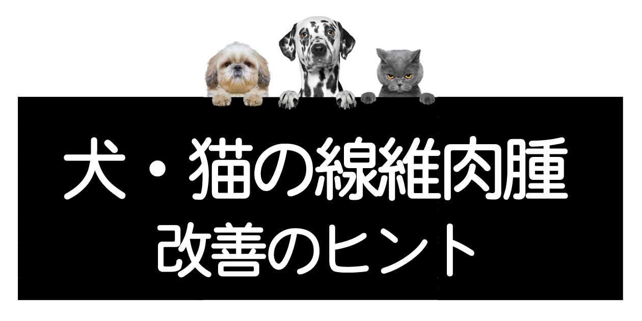 猫、狗的纤维肉瘤 ― 恶性肿瘤、检查、手术、治疗方法、改善和治愈的提示イメージ