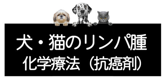 犬猫のリンパ腫の抗癌剤