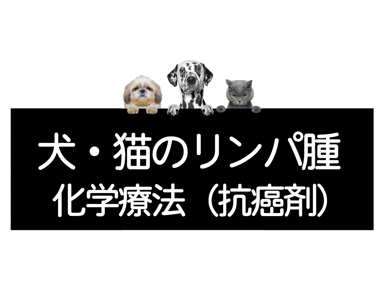 犬猫淋巴瘤中使用的化疗药物和抗癌药类型及治疗方案イメージ