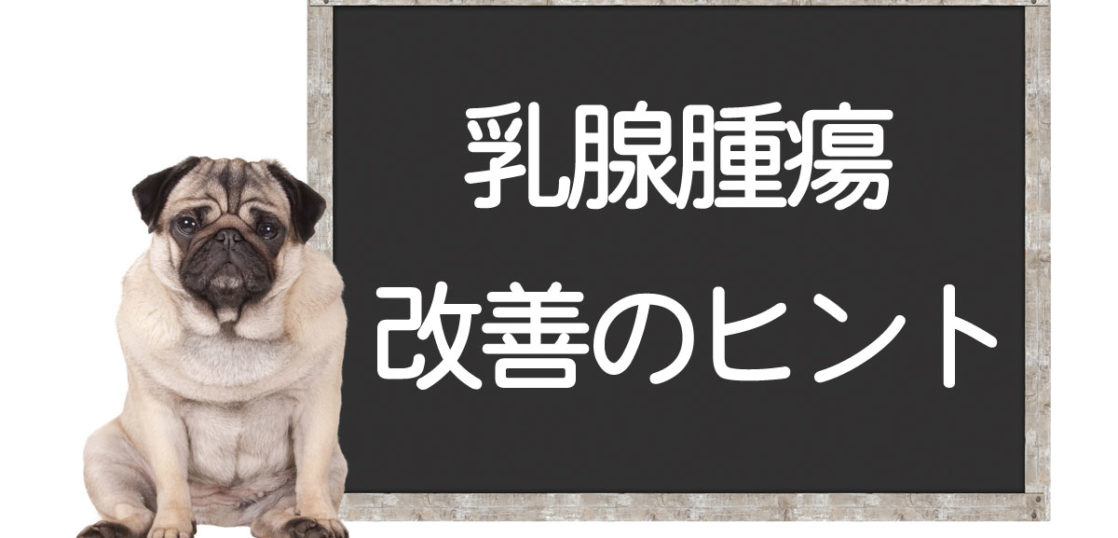 犬の乳腺腫瘍の改善方法