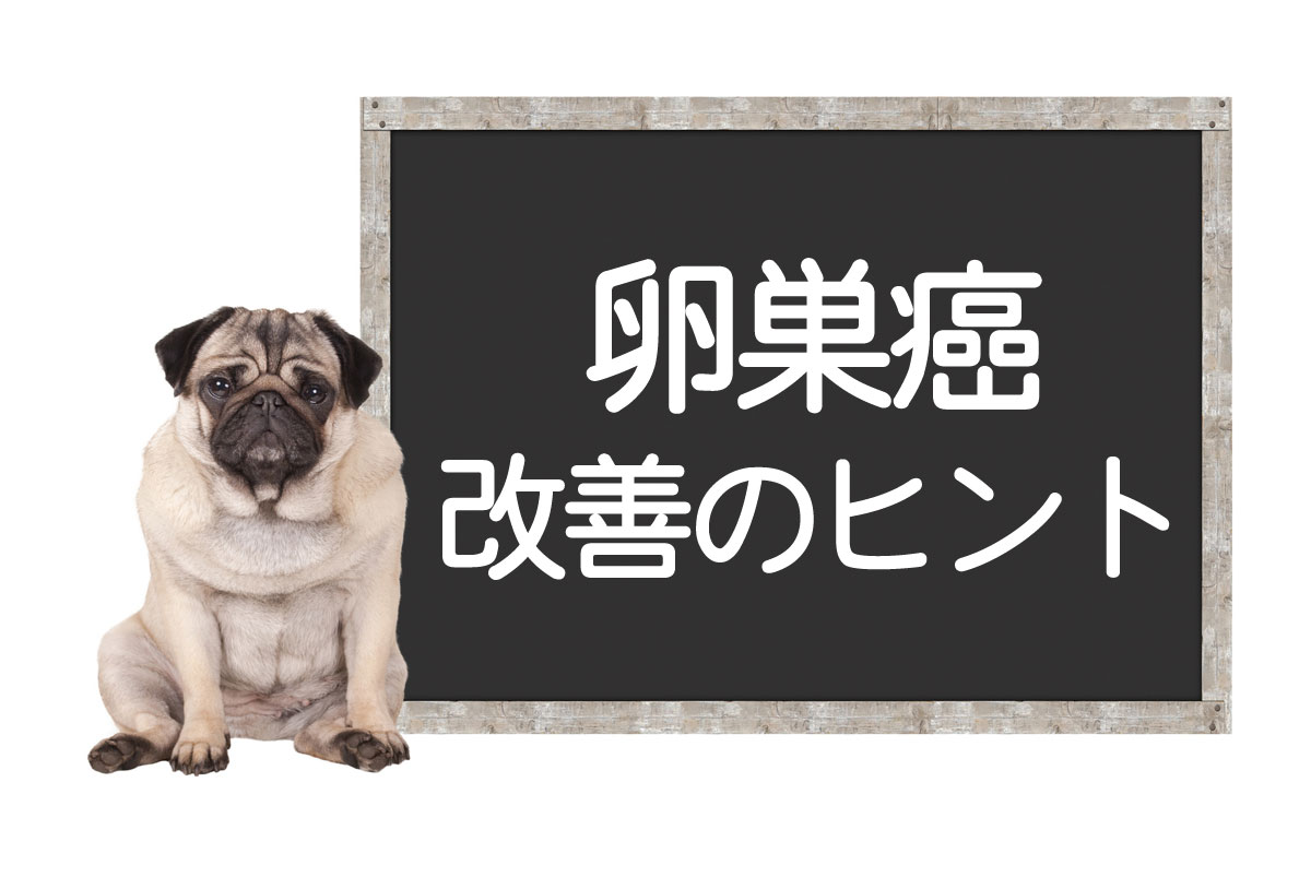 犬卵巢癌——恶性肿瘤的症状、检查、手术、治疗方法、改善和治愈的提示イメージ