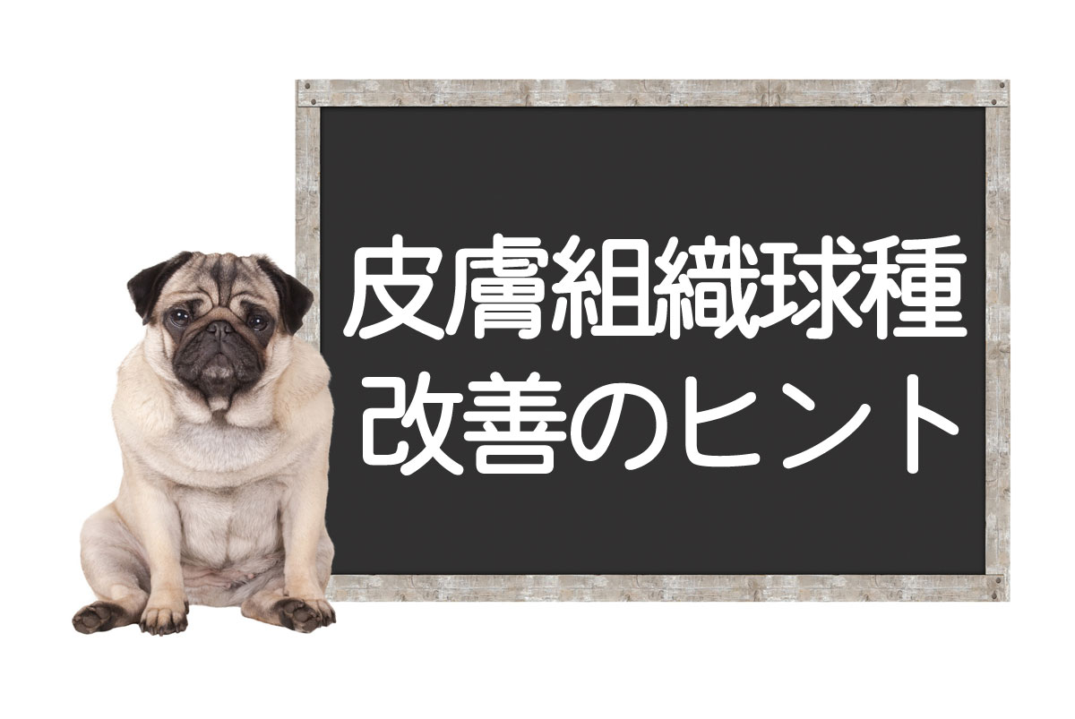 犬的皮肤组织球瘤——肿瘤的症状、检查、手术、治疗、改善和治愈方法イメージ