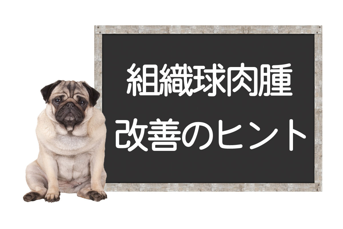 犬的组织细胞肉瘤 — 肿瘤的诊断、手术、治疗方法、改善和治愈提示イメージ