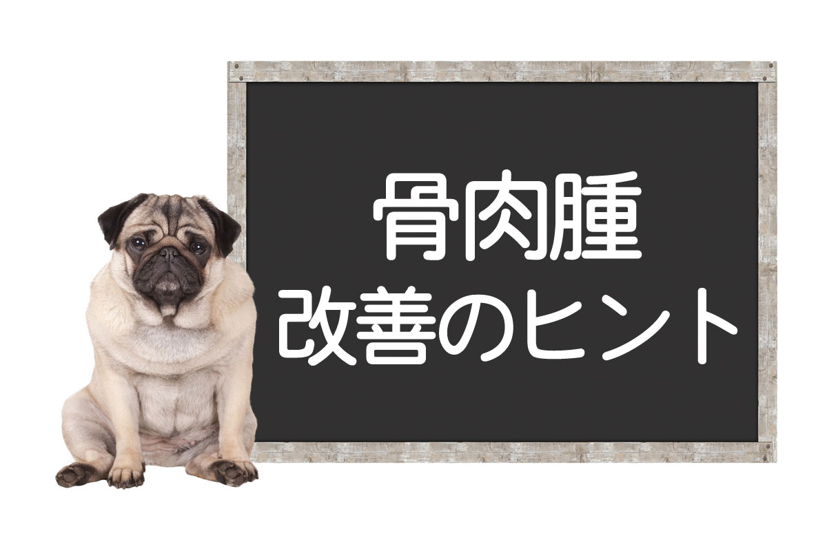 犬骨肉瘤 — 恶性肿瘤的原因和症状、手术和抗癌药、改善和治愈的提示イメージ