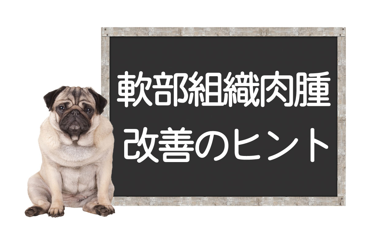 犬软组织肉瘤-肿瘤的检查、手术、治疗方法、改善·治愈的提示イメージ