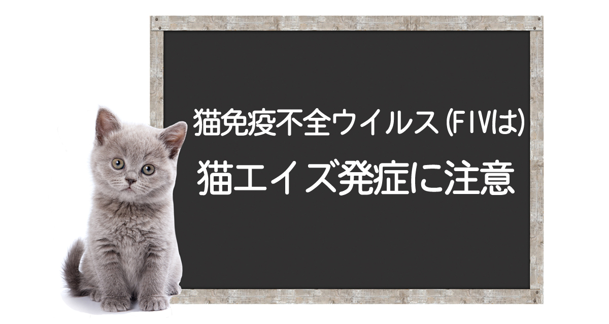 猫艾滋病病毒感染症・FIV的发病、症状、治疗方法、克服方法イメージ