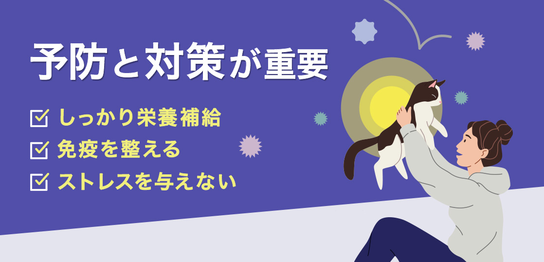 猫传染性腹膜炎（猫FIP）—冠状病毒感染、症状、改善・治愈的提示イメージ