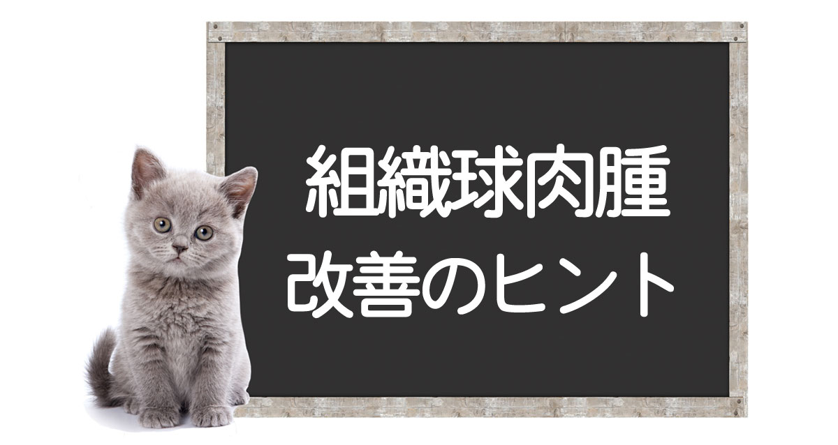 猫的组织细胞肉瘤——恶性肿瘤的治疗方法和改善建议イメージ