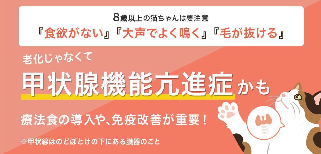 老化じゃなくて甲状腺機能六進症かも 療法食の導入や、免疫改善が重要！