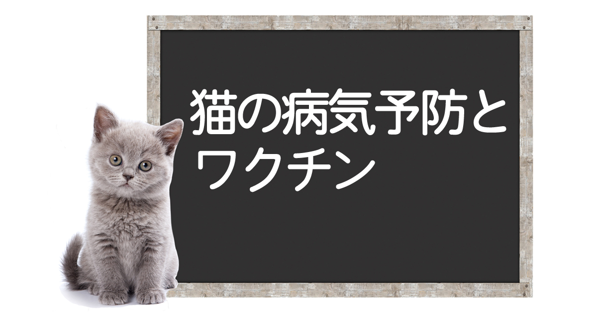 关于猫的核心疫苗可以预防的疾病、症状和治疗方法イメージ