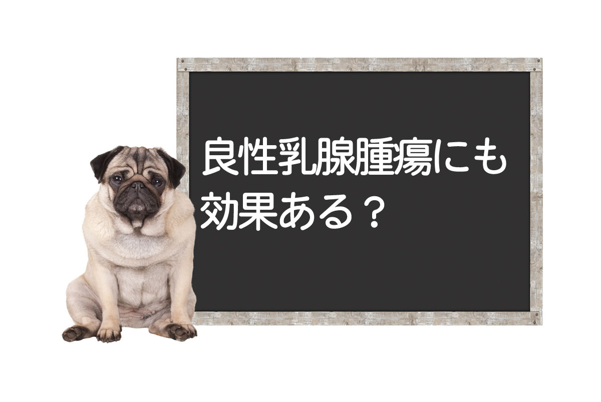 犬良性乳腺肿瘤的Cordy效果＜面向实验室的咨询＞イメージ