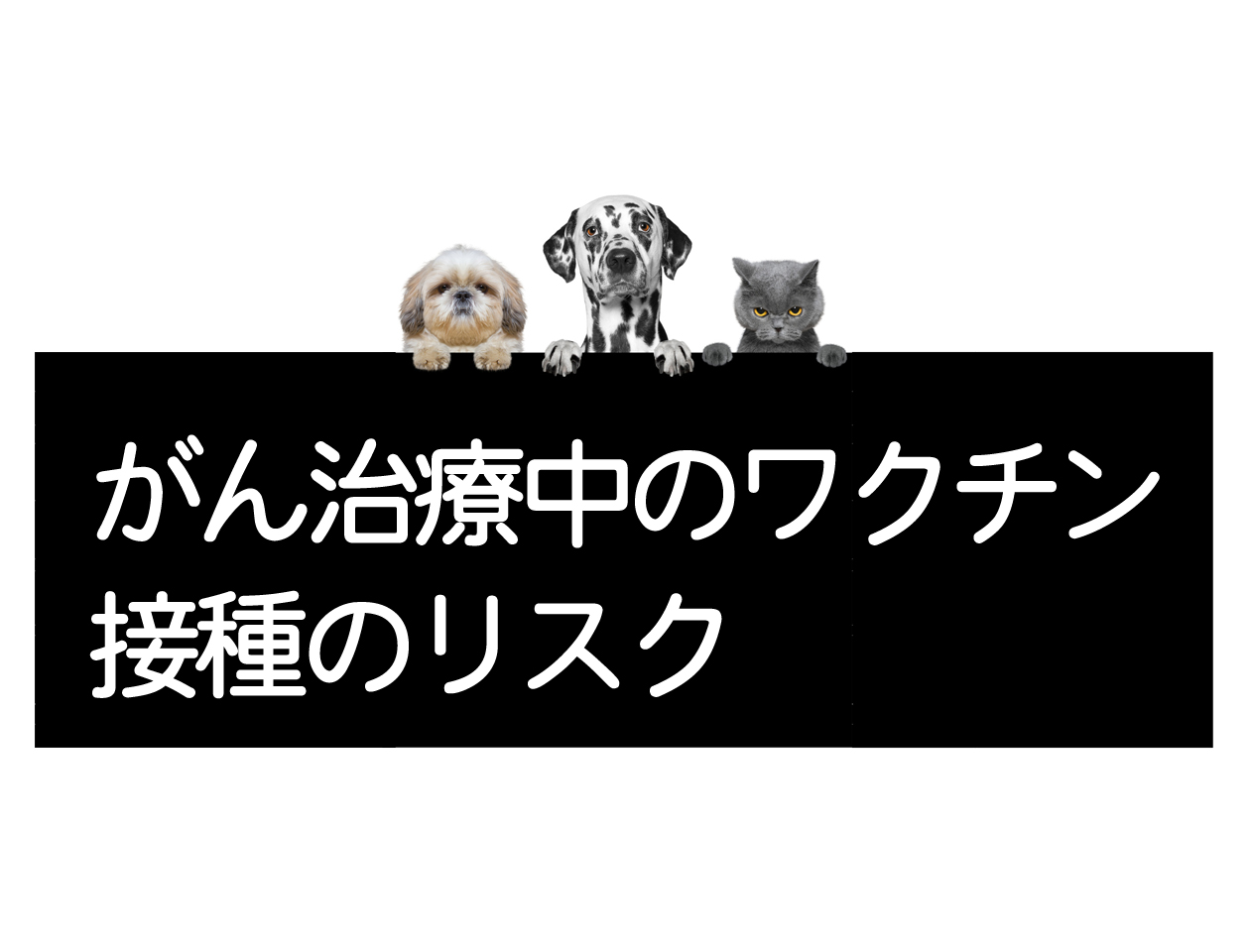 犬和猫在癌症治疗中的疫苗接种风险イメージ