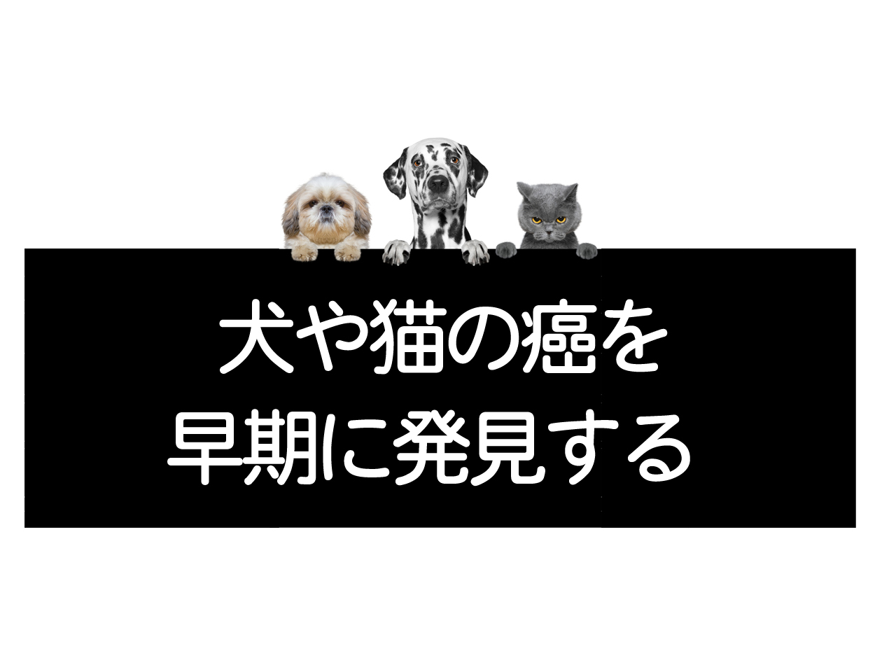 早期癌症的发现——关于犬、猫和宠物早期癌症的症状和检测イメージ