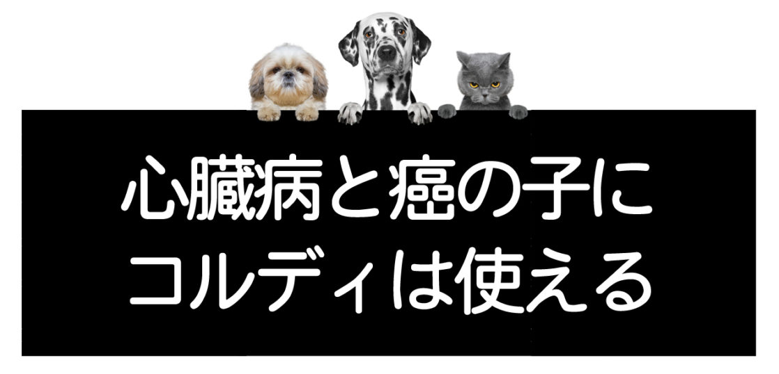 恶性肿瘤（癌症）与心脏病并发时的应对方法＜向研究室咨询＞