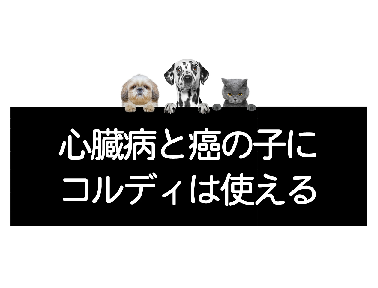 恶性肿瘤（癌症）和心脏病并发时的应对方法＜向研究室咨询＞イメージ