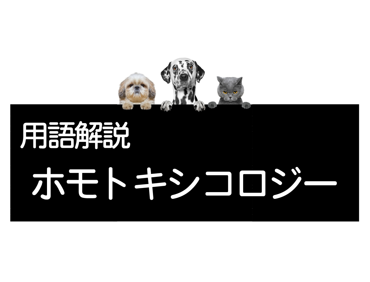 关于同毒素学疗法——犬猫的治疗イメージ