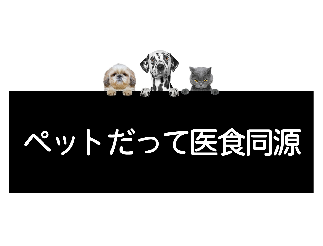 抗击癌症的全新饮食理念（犬猫篇）イメージ