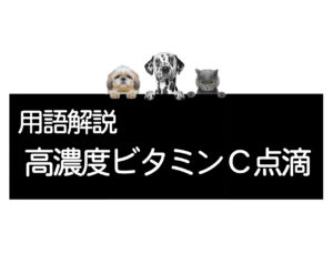 高浓度维生素C输液疗法——犬和猫的癌症治疗