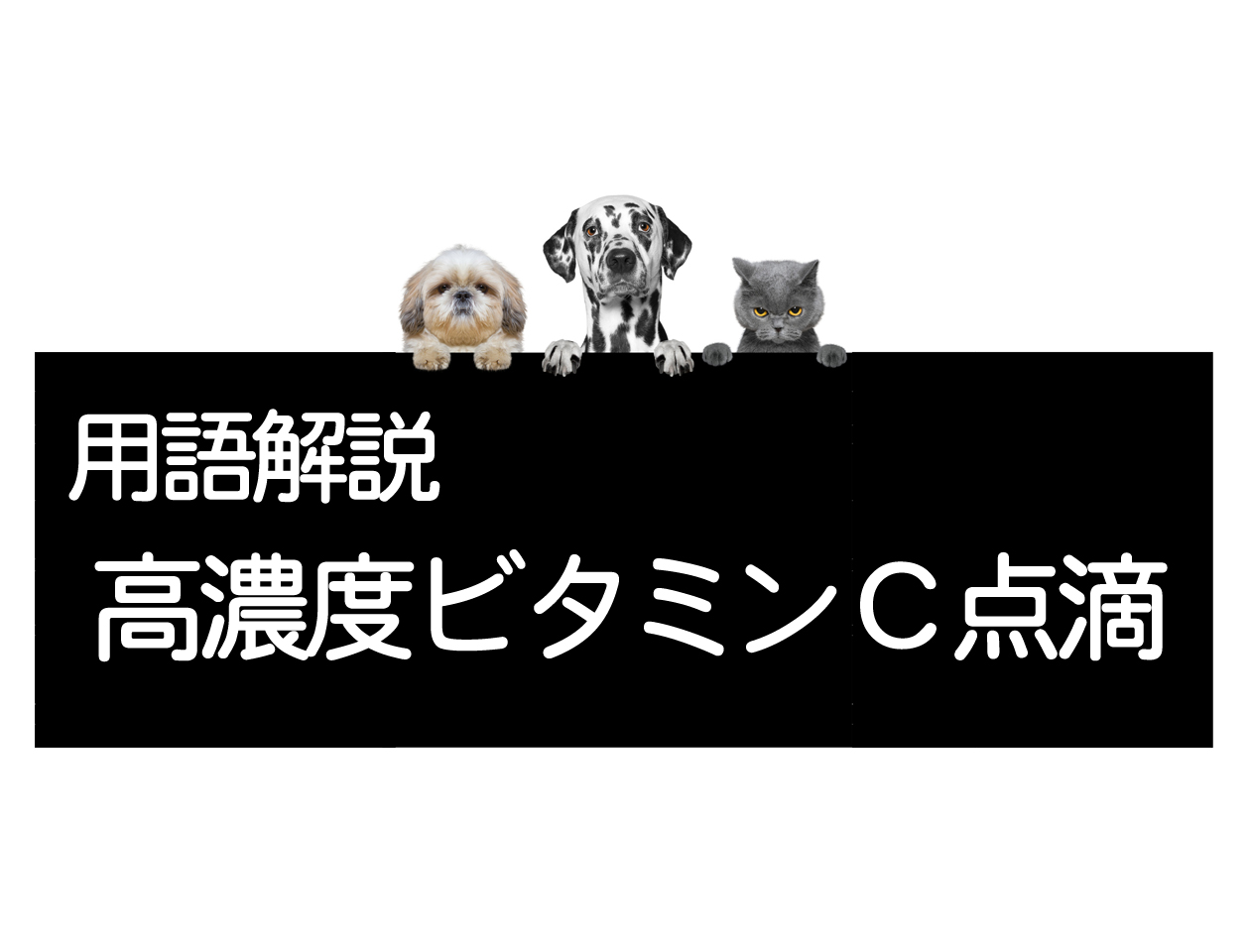 高浓度维生素C输液疗法——犬和猫的癌症治疗イメージ