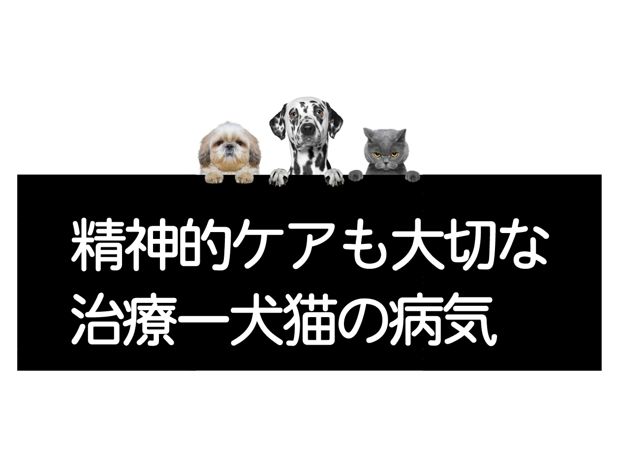 犬猫的心理护理也是治疗的一部分——犬猫疾病应对イメージ