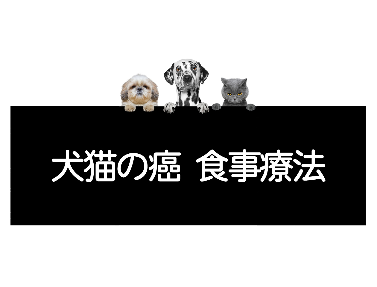 犬猫的癌症饮食疗法——基本是高蛋白、低糖イメージ