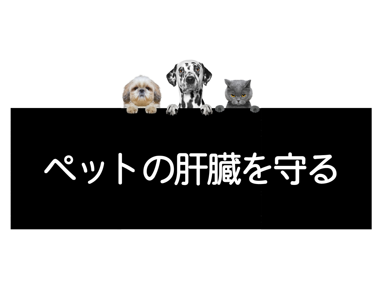 犬、猫、宠物肝功能恶化的预防方法イメージ