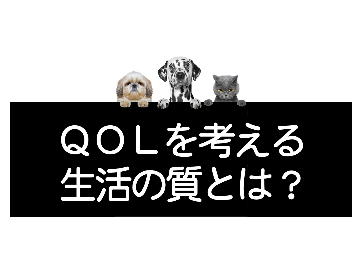 犬和猫及宠物的QOL（生活质量）イメージ