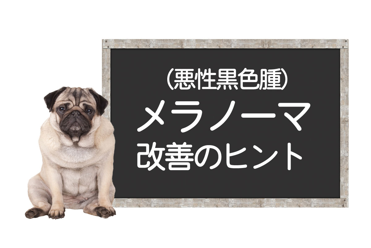 犬黑色素瘤——肿瘤的原因、晚期症状、治疗方法及早期图片介绍イメージ