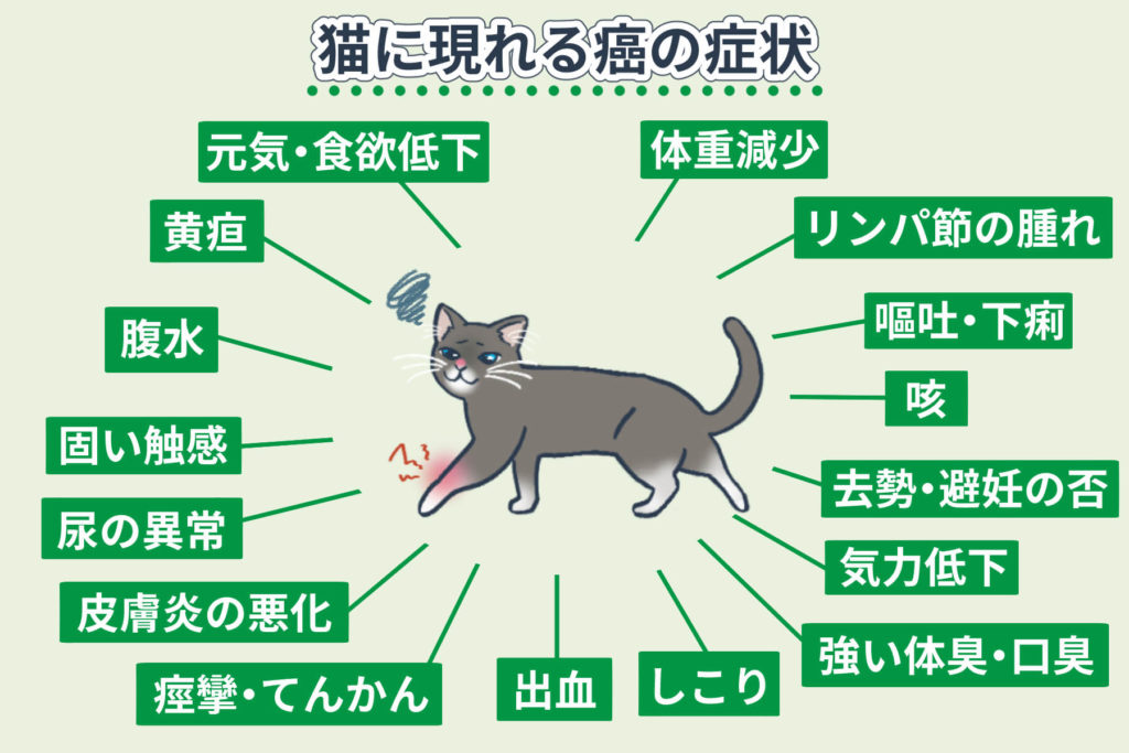 猫的癌症症状