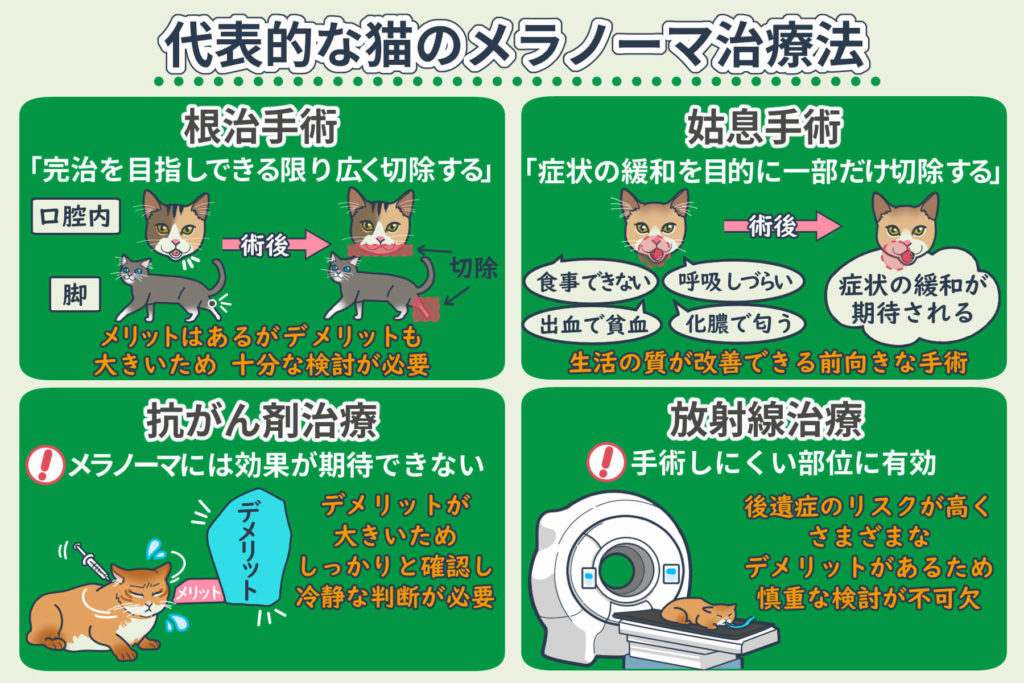 代表性的猫黑色素瘤治疗方法