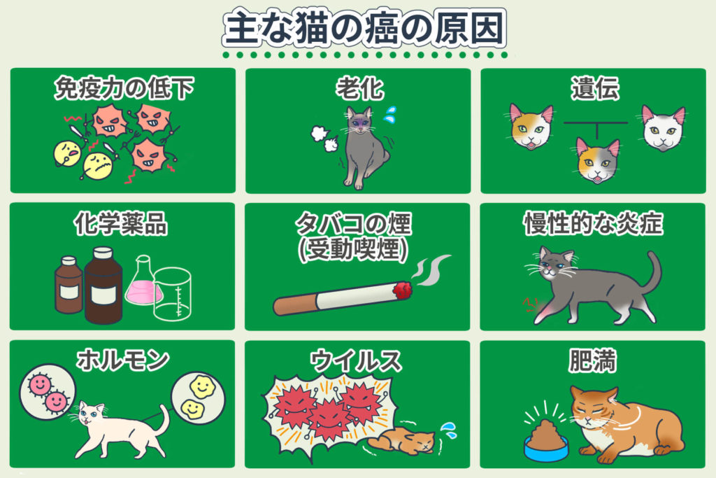 猫患癌症的主要原因