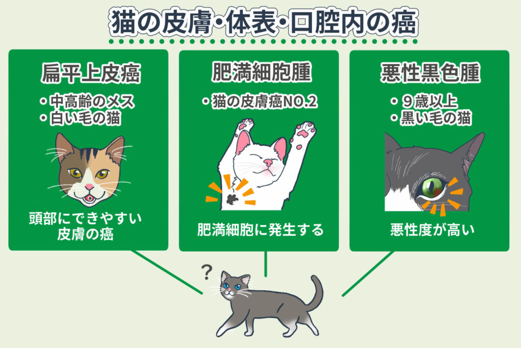 猫的皮肤・体表・口腔内癌症