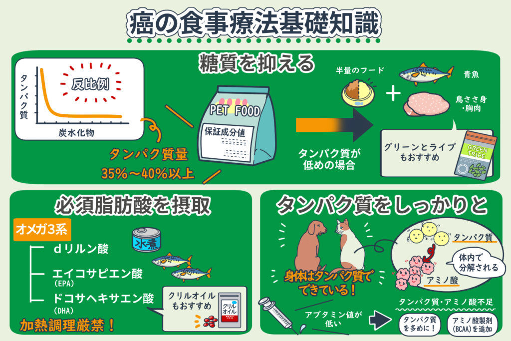 癌症饮食疗法的基本知识