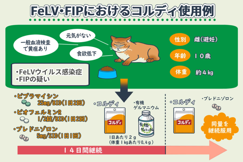 FeLV・FIP中的Cordy使用案例