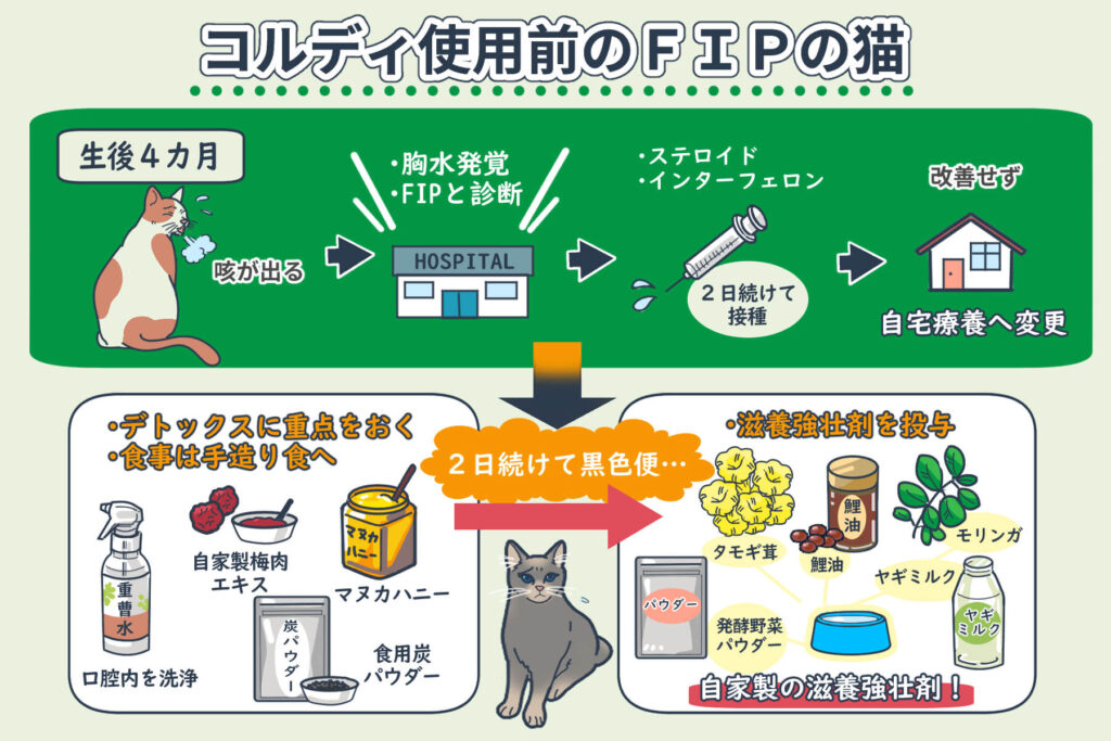 使用Cordy前的FIP猫咪的状况