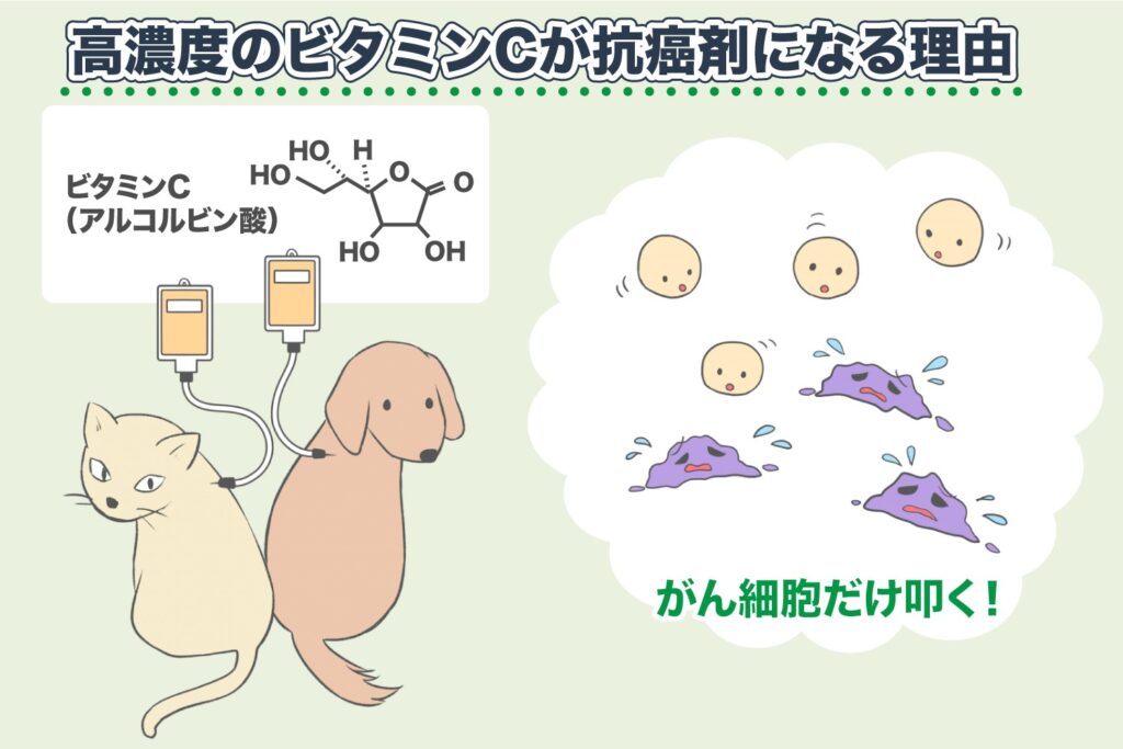 高浓度维生素C是天然抗癌药