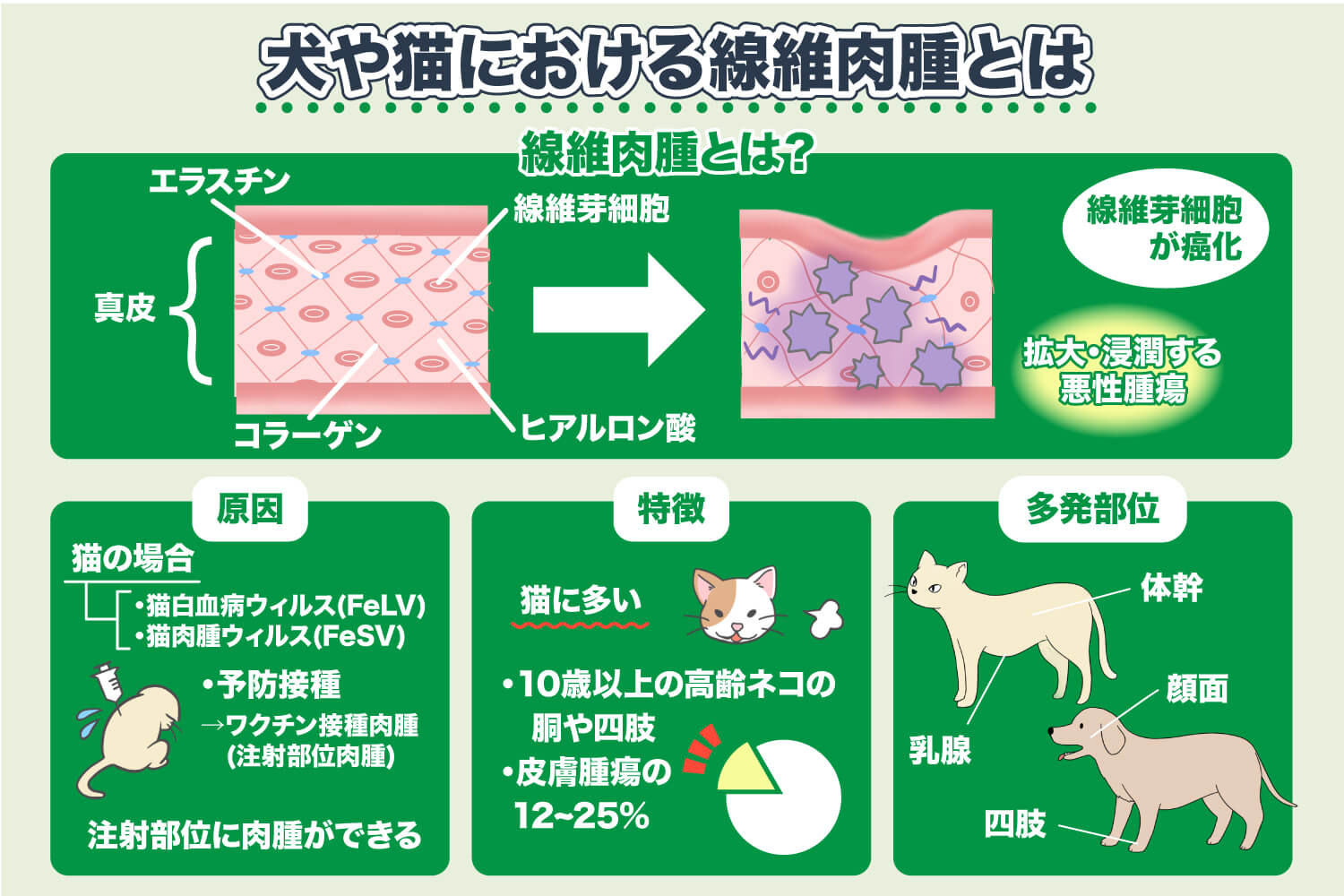 犬和猫的纤维肉瘤是什么？